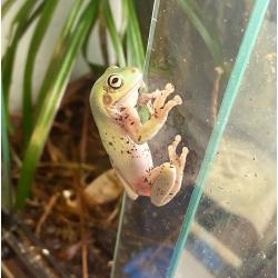 Fotografia demonstrativa.