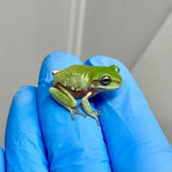 Fotografia demonstrativa.