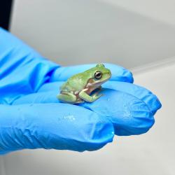 Fotografia demonstrativa.