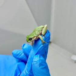 Fotografia demonstrativa.