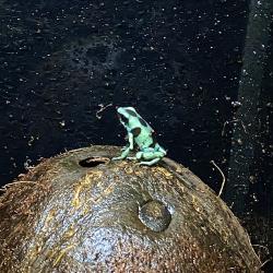 Microspot. Fotografia demonstrativa.