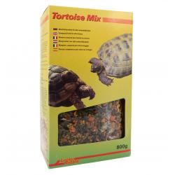 Tortoise Mix