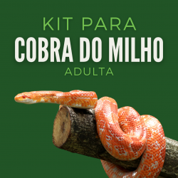 Kit Cobra do Milho Adulta