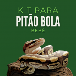 Kit Pitão Bola Bebé