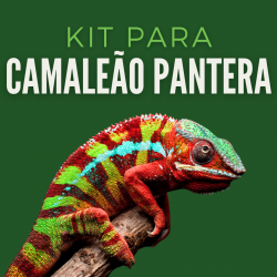 Kit Camaleão Pantera