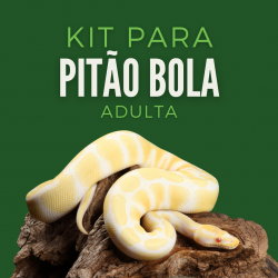 Kit Pitão Bola Adulta