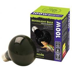 Moonlight Bulb