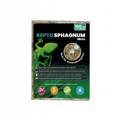 copy of Musgo Sphagnum