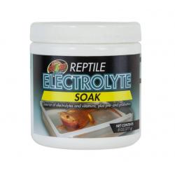 Electrolyte Soak