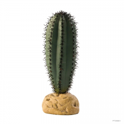 copy of Jade Cactus