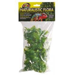 Planta Amazonian Phyllo