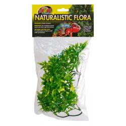 Planta Bolivian Croton