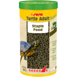 Turtle Adult Nature 260g