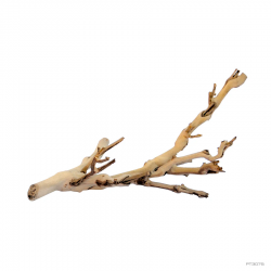 Ramas de Videira Exo Terra...