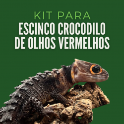 copy of Leopard Gecko Kit