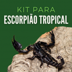 copy of Kit Cobra do Milho...