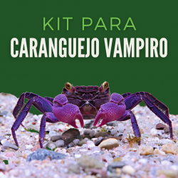 Kit Caranguejo Vampiro