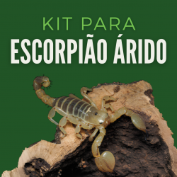 copy of Kit Cobra do Milho...