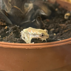 CB2025 1cm (fotografia demonstrativa)