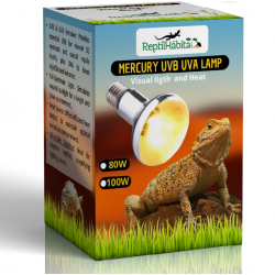 Lâmp de Vapor de Mercúrio 80W