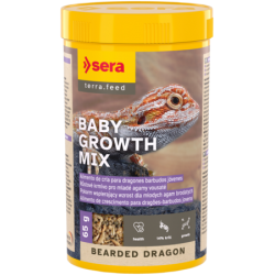 Bearded Dragon Baby Growth...