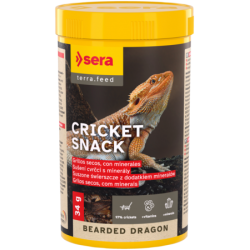 Bearded Dragon Cricket...