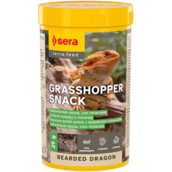 Bearded Dragon Grasshopper...